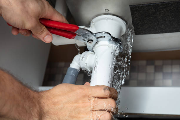 Best Local water damage restoration  in St Helena, CA
