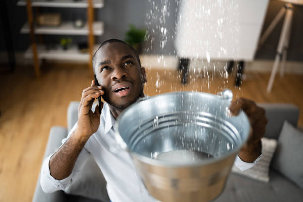 Best Water damage contractors near me  in St Helena, CA