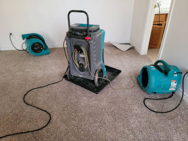 Best Carpet water damage restoration  in St Helena, CA