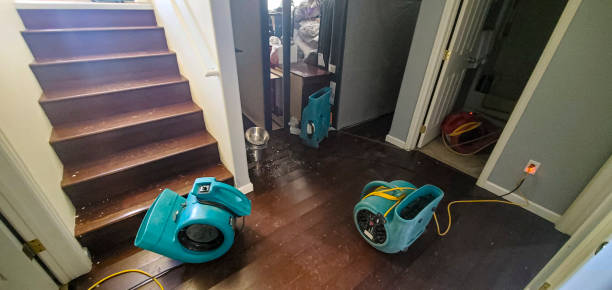 Best Water damage restoration process  in St Helena, CA