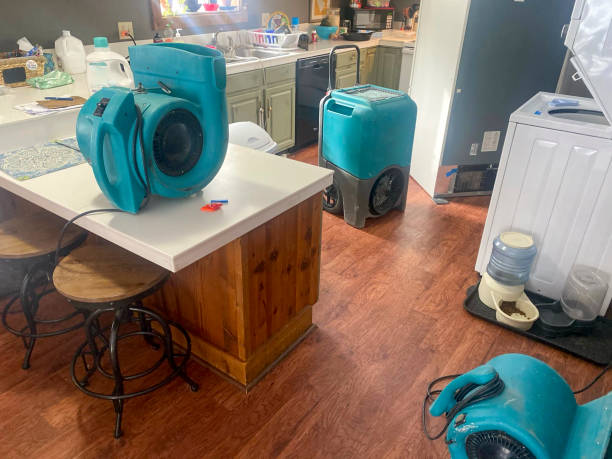 Best Ceiling water damage repair  in St Helena, CA