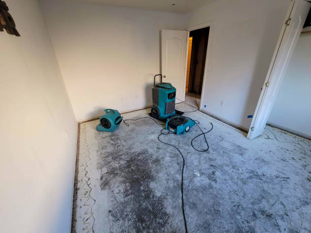 Best Residential water damage restoration  in St Helena, CA