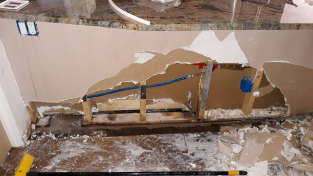 Best Mold removal after water damage  in St Helena, CA