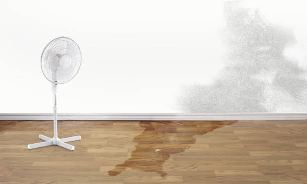 Best Water damage contractors near me  in St Helena, CA