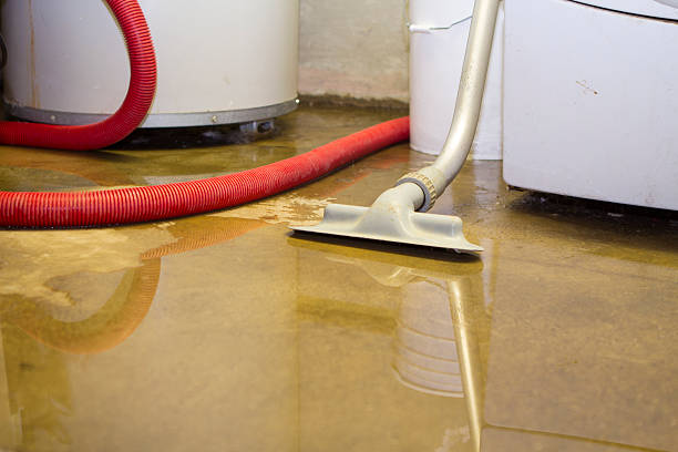 Best 24-hour water damage restoration  in St Helena, CA