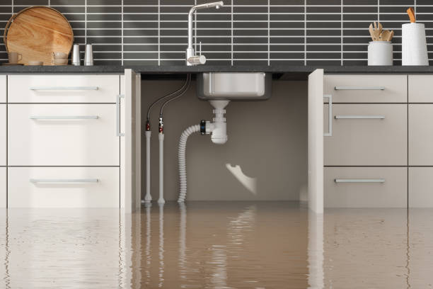 Water damage restoration mold remediation in St Helena, CA