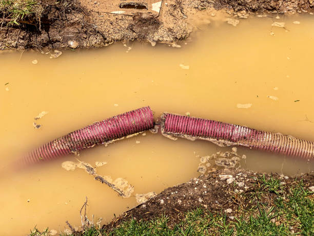 Best Water damage mitigation services  in St Helena, CA