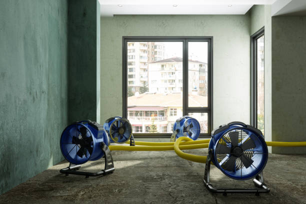 Reliable St Helena, CA Water damage restoration Solutions