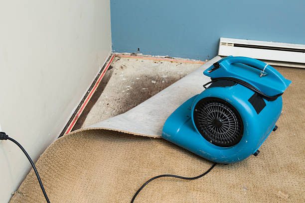 Best Basement water damage restoration  in St Helena, CA